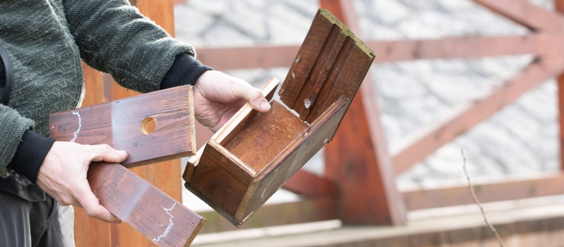 429881478_1579720082813967_7665036538786008309_n