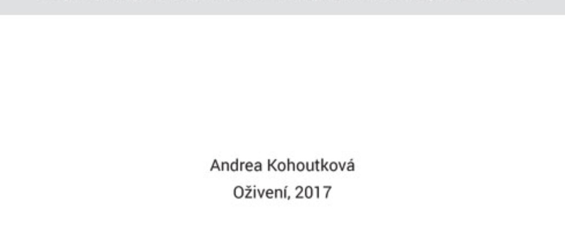 Případová-studie-městské-obchodní-společnosti-1